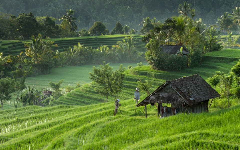 Villa Kayajiew - Bali enchanting view